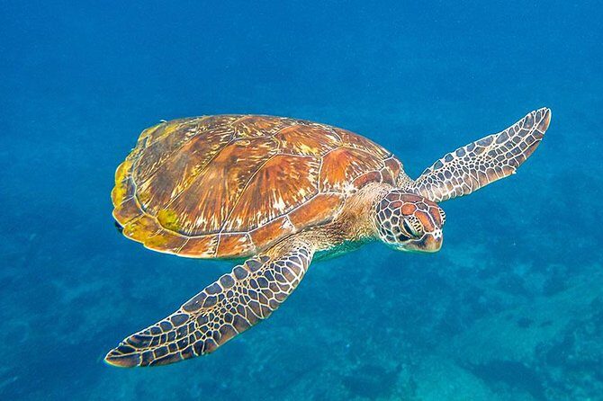 Similan Islands One Day Tour From Khao Lak - Final Thoughts