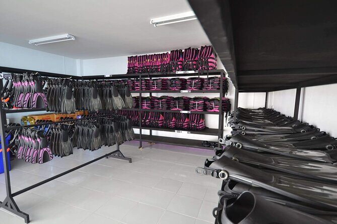 Similan Royal High Speed Catamaran Day Tour - Practical Considerations and What to Expect