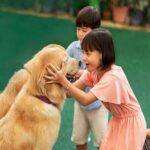 Singapore 3 Park Explorer Pass: Zoo, River Wonders, Bird Paradise - Navigating Each Park: What to Expect