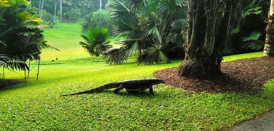 Singapore: Botanic Gardens & Tiong Bahru Walk w/Breakfast - Practical Details & What to Expect