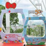 Singapore Cable Car Sky Pass - Who Should Consider This Tour?