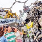 Singapore Cable Car Sky Pass & Universal Studios Tickets - The Experience for Different Types of Travelers