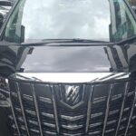 Singapore Changi Airport Private Transfer Services - Real-Life Insights from Reviews