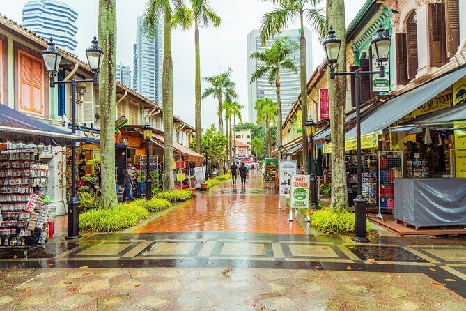 Singapore Essence City Tour With Roundtrip Transfers - What’s Included & What’s Not