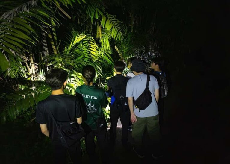 Singapore: Gliding Colugos & Wildlife, Night Nature Tour - Who Should Consider This Tour?