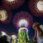 Singapore in Motion: Flyer, River and Garden - Practical Details and Why They Matter