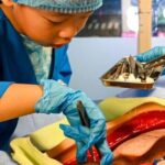 Singapore Kidzania Admission Ticket - FAQs