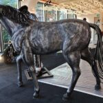 Singapore Museum Entry Tickets - What’s Included and What to Expect