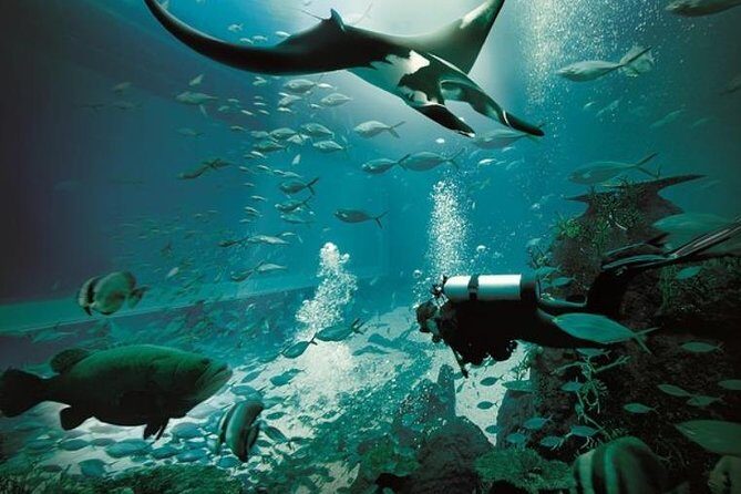 Singapore : Ocenarium One Day Ticket only - Authentic Traveler Insights