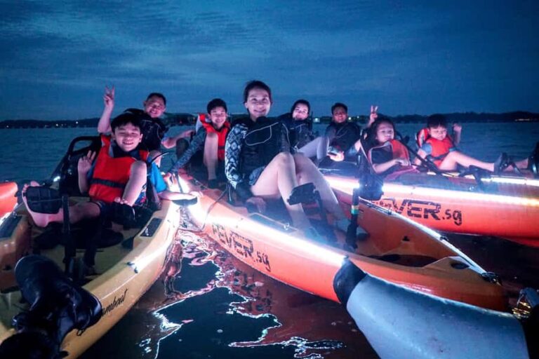 Singapore: Pasir Ris Park LED Night Kayak Tour with Mussels - Who is This Tour Best For?