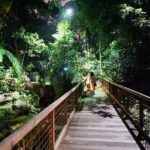 Singapore River & Night Safari-COMBO (Shared Transfer) - Practical Tips for Travelers