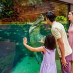 Singapore River Wonders Entry Ticket - Why River Wonders Offers Great Value
