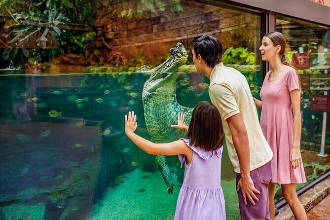 Singapore River Wonders Entry Ticket - Why River Wonders Offers Great Value