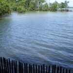 Singapore: Sungei Buloh Wetland Reserve Private Tour - Benefits of Choosing a Private Tour