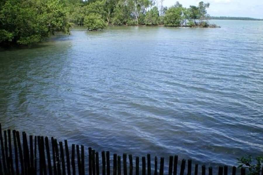 Singapore: Sungei Buloh Wetland Reserve Private Tour - Benefits of Choosing a Private Tour