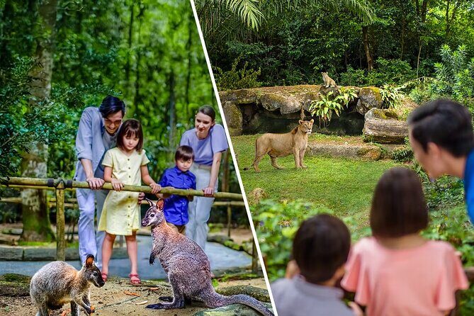 Singapore Zoo and Night Safari Tickets - The Night Safari: A Nocturnal Wilderness Experience