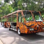 Singapore Zoo with Tram Ride Experience for Tourist - Why the Singapore Zoo with Tram Ride is Worth It