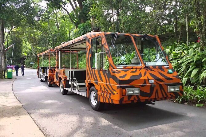 Singapore Zoo with Tram Ride Experience for Tourist - Why the Singapore Zoo with Tram Ride is Worth It