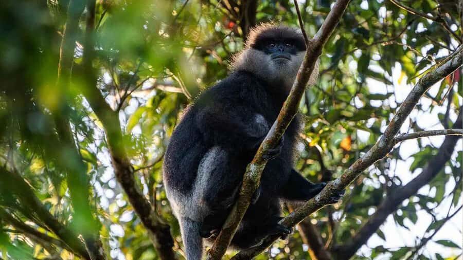 Sinharaja Rain Forest (UNESCO) & Eco 3-Day Tour with Hotel - Who Should Consider This Tour?