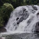 Sinharaja Rain Forest Waterfall Tour - The Practicalities: Is This Tour Right for You?