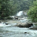 Sinharaja' rainforest - Adventure Tour (Full day) - What to Expect from This Sinharaja Rainforest Tour