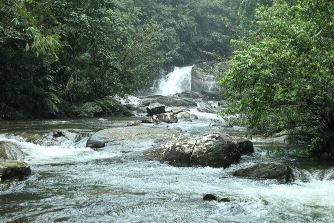 Sinharaja' rainforest - Adventure Tour (Full day) - What to Expect from This Sinharaja Rainforest Tour