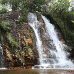 Sinharaja Rainforest: Nature Tour with Local Guide - Why You Should Consider This Tour