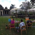 Sip, Paint and Winery - Authentic Insights from Guest Experiences