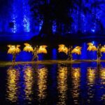 Skip the Line: The Quintessence of Tonkin Ticket (Wed, Sat, Sun) - Seating and Ticket Options