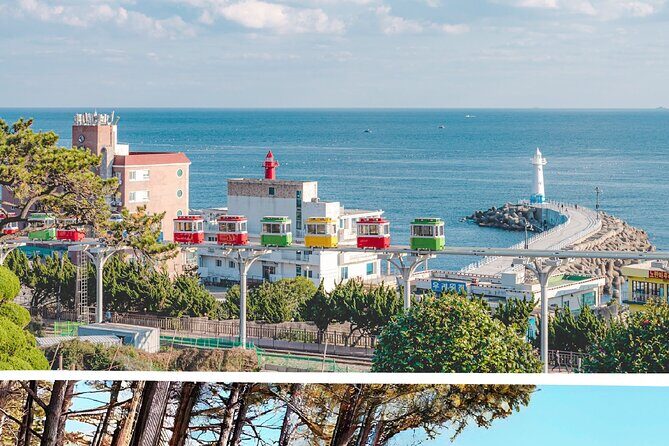 Sky Capsule, Gamcheon, Oryukdo & Huinnyeoul Village Day Tour - Who is This Tour Best Suited For?