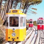 Sky Capsule with Cherry Blossom & Spring Flowers Tour from Busan - The Sum Up