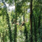 Sky Rock Khaolak Jungle Adventure - What to Expect During the Tour
