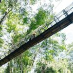 Sky Rock Khaolak Jungle Adventure Zipline Experience - Weighing the Value