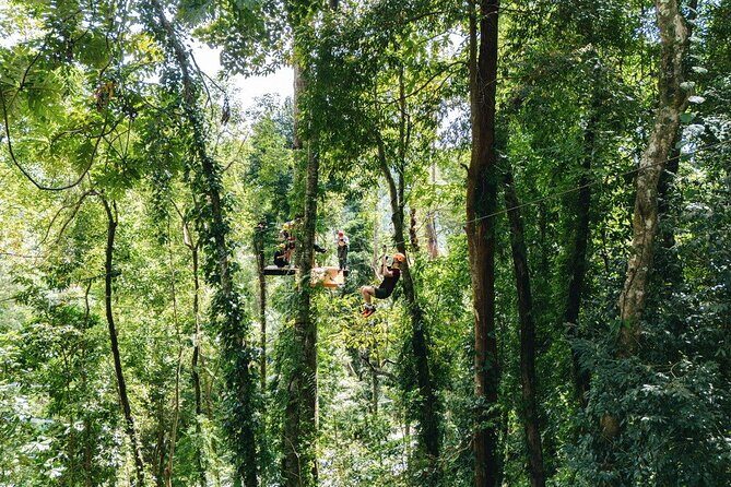 Sky Rock Khaolak Jungle Adventure - What to Expect During the Tour