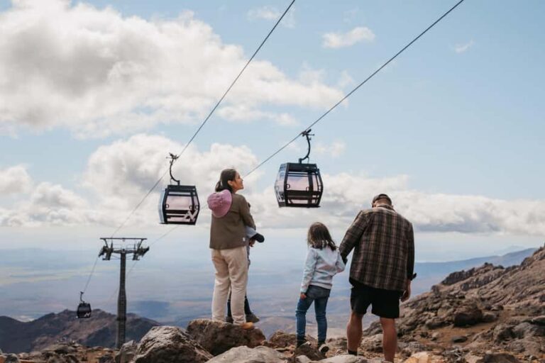 Sky Waka Gondola Ride & Peak Adventures: Entry Ticket - What to Expect from Your Sky Waka Adventure