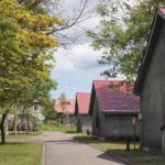 SkyExpress: Otaru & Yoichi Customised Private Day Tour (Up to 15 Passengers) - Final Thoughts