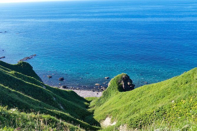 SkyExpress: Shakotan Peninsula Customised Private Day Tour (Up to 8 Passengers) - Who Will Love This Tour?