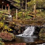 Slurp & Stroll: Kyotos Ramen Alley and Mountain Retreats - A Detailed Look at the Itinerary and Experience