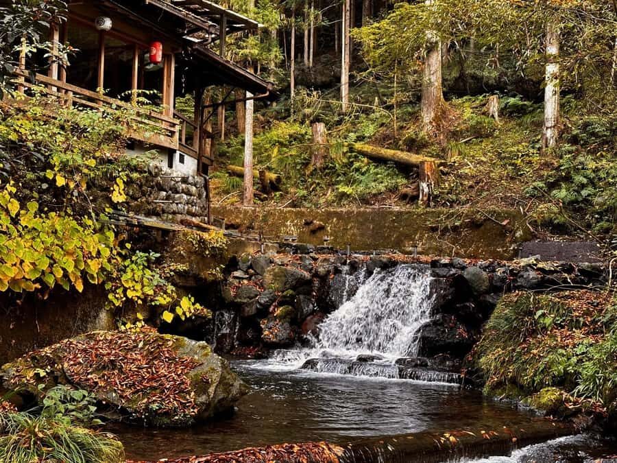 Slurp & Stroll: Kyotos Ramen Alley and Mountain Retreats - A Detailed Look at the Itinerary and Experience