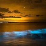 Small Group Bioluminescent Canoe&Twilight Adventure Phang Nga Bay - An In-Depth Look at the Tour