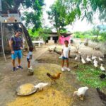 Small Group Discover Hoa Lu, Tam Coc, Mua Caves with Local House - The Practicalities: What’s Included and What to Consider