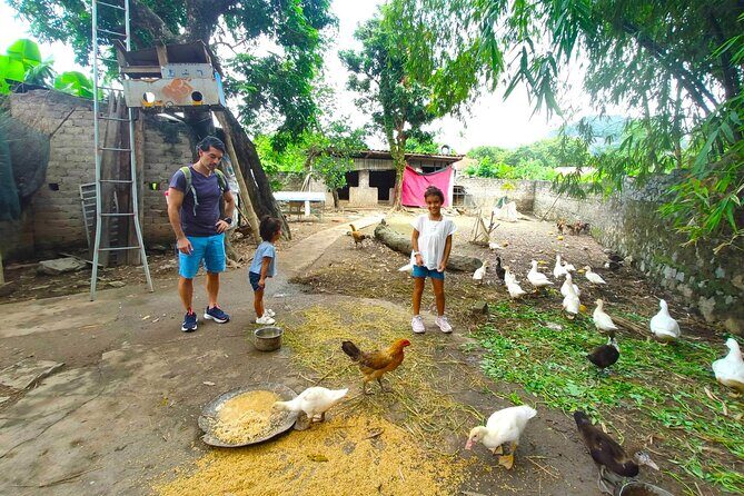 Small Group Discover Hoa Lu, Tam Coc, Mua Caves with Local House - The Practicalities: What’s Included and What to Consider