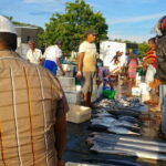 Small Group Hambantota City Tour - Authentic Experiences and Hidden Gems