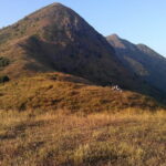 Small Group Hike to Ma On Shan Highland - What You Can Expect from the Tour