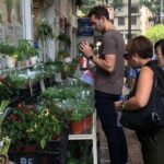 Small-Group Tour: Hong Kong Local Markets Hopper [PROMOTION] - Practical Details: What You Need to Know