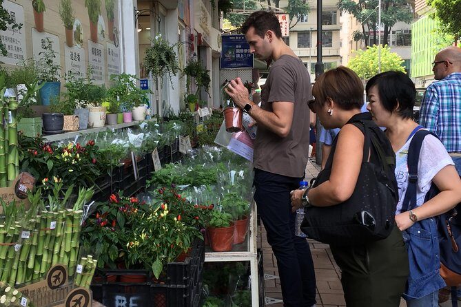 Small-Group Tour: Hong Kong Local Markets Hopper [PROMOTION] - Practical Details: What You Need to Know