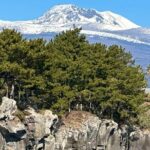 Small Group Tour in South Jeju including Yacht, Falls & Mt.Halla - Authentic Experiences Based on Reviews