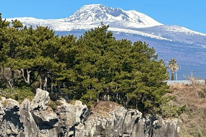 Small Group Tour in South Jeju including Yacht, Falls & Mt.Halla - Authentic Experiences Based on Reviews