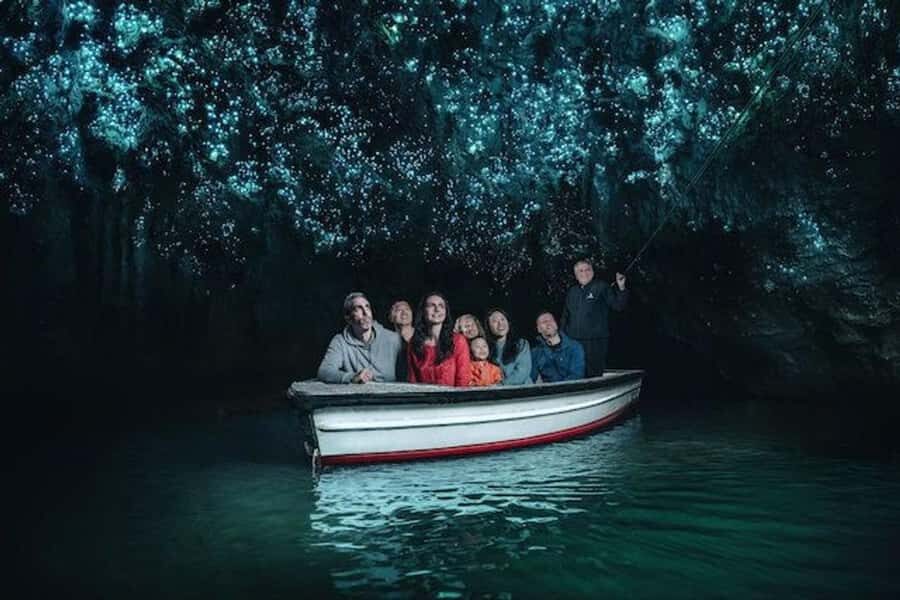 Small-Group Waitomo Glowworm Caves Day Tour from Auckland - A Deep Dive into the Experience