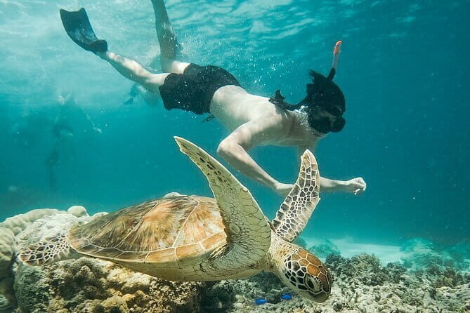 Snorkeling 3 Spots with GoPro & West Coast Tour Nusa Penida - Analyzing the Value